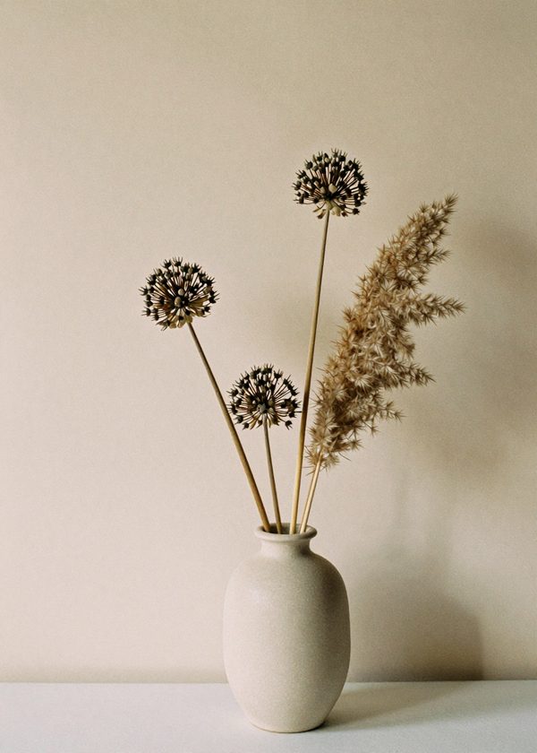 Torkad allium